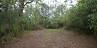 Charming 2 Bed / 1 Bath Cottage Gallery 23