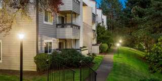 81 Fifty at West Hills Gallery 23