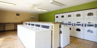 River View Gallery 32