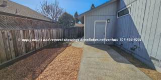 Recently Updated - Newer Appliances, Flooring, Fixtures - 3-Car Garage - Windsor Gallery 23