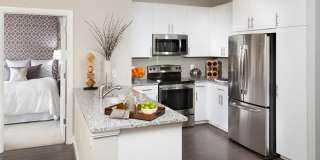 Harrison at Reston Town Center Gallery 11