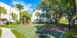 10X Port Royale 10X Port Royale Gallery 28