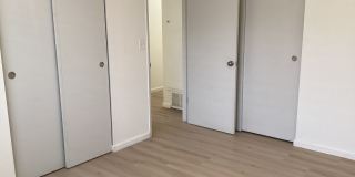 North West Pet Friendly Home Gallery 18