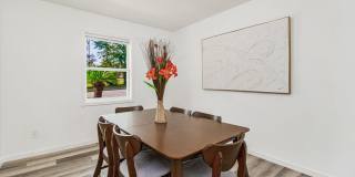 100 Mango St Gallery 22