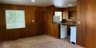 Country Environment in Town Gallery 5