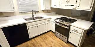 6423 Plankton Drive Gallery 9