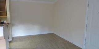 Beautiful 2 bedroom/1 bathroom Apartment in Fort Walton Beach Gallery 5