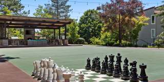 81 Fifty at West Hills Gallery 20