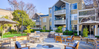 Woodland Meadow Gallery 37