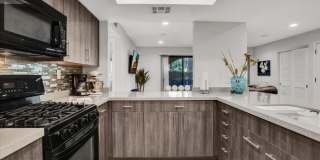 200 E Racquet Club Road Gallery 2