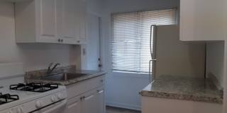 1 BR Apartment Gallery 8