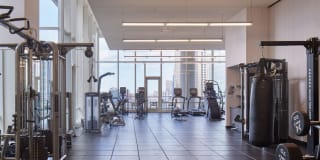 OneEleven Gallery 15