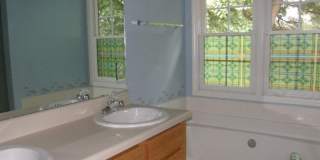 207 Cove Creek Drive Gallery 11