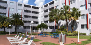 Suncoast Place Gallery 3