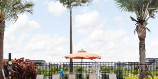 The Sophia Gallery 50