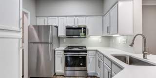 Las Palmas Gallery 12