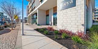 Leya Gallery 6