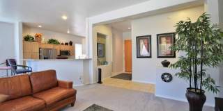 483 W Carob Drive Gallery 8