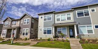 1-MONTH FREE SPECIAL! Beautiful & Cozy 1BR in Hillsboro Gallery 6