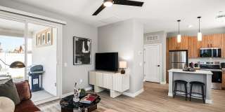 Sonita Gallery 40