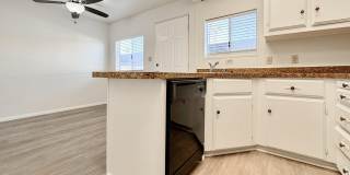 40215 Harris Lane Gallery 11