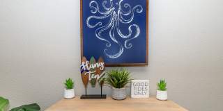 Aster on University Gallery 11