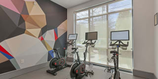 Trinity Bluff & District Urban Apartments Gallery 11