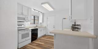 663 Spring Lane Gallery 13