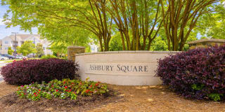 Ashbury Square Gallery 35