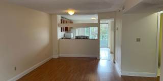 Modern Duplex with Pool, Parking, 2 balconies and 1 deck, Large Bedrooms,1.5 bath Laundry inside Gallery 7
