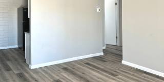 Palm Square Gallery 3