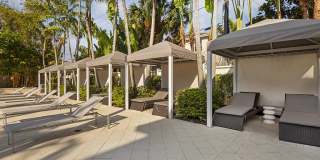 Bell Sunrise Bell Sunrise Gallery 13