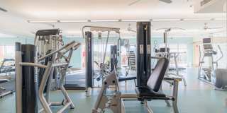 Domain at Kirby Gallery 48