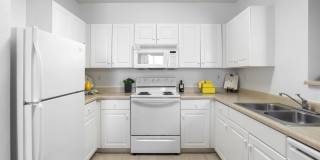 Costa Verde Village Gallery 60