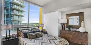 Pinnacle on the Park Gallery 5