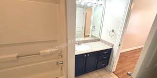 3BD/3BA FOR RENT Gallery 17