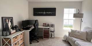 Branch Point S/D Gallery 17