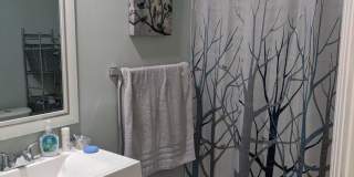 Room in 3 Bedroom Home at Chester St Gallery 19