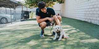 Windemere at Sycamore Highlands Gallery 34