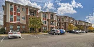 Nexus at Sandhill Apartment Homes Gallery 21