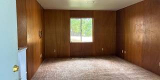 Country Environment in Town Gallery 3