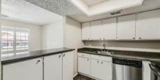 Rise Spring Pointe Gallery 100