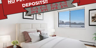 3510 North Pine Grove Gallery 12