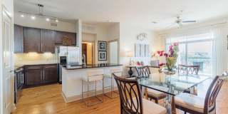 Domain at Kirby Gallery 2