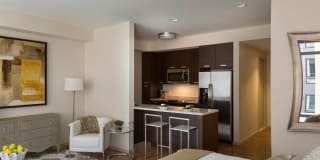 The Victor by Windsor Gallery 17