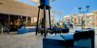 Maverick Gallery 127