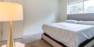 Candlewyck Gallery 16