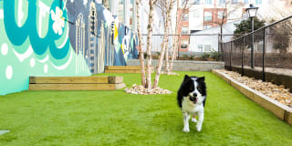 Greenside Gallery 33