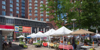 Axiom Apartment Homes Gallery 27