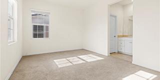 2873 E Via Terrano Gallery 15